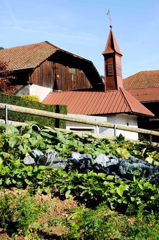 La Ferme D Emilienne Bed and Breakfast Sallanches Esterno foto